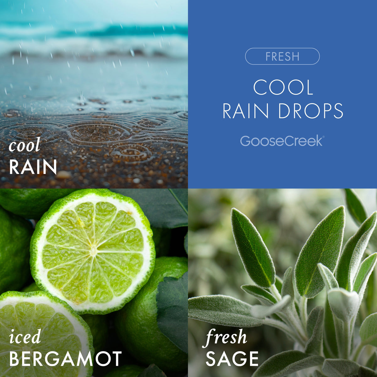 Cool Rain Drops Odor Eliminating 7oz Single Wick Candle